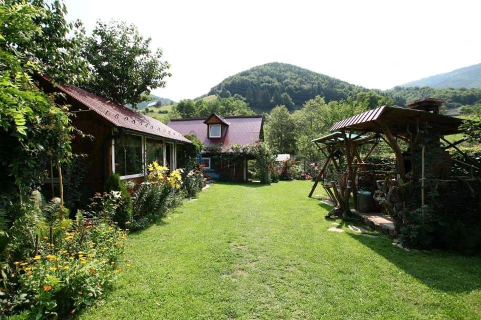 Casa De Vacanta Vidrighin Rau Sadului Exterior photo